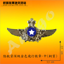 Land Airlines senior level golden breast badge-medium (copper) land route badge Bronze Badge ~ Taiwan Taiwan Desk Direct