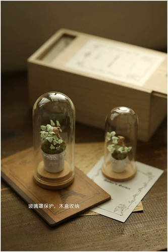 Микровисшивание мини -ивия эмить вечного цветочного моха нефритовое медведь тигр детские волосы