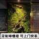 Simulated immortal moss green wall