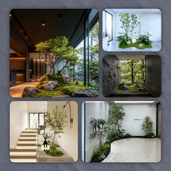 Living room Artificial green plants Fancy horse drunken wood hanging clock indoor potted plants large landscape landscaping homestay atmosphere layout