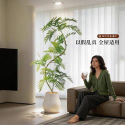 Simulated Jacaranda Plant Potted Plant with a High-End Feel, Realistic Indoor Living Room Decoration, Floor-Standing Artificial Green Plant Ornament for Landscape