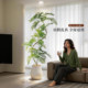 Simulated jacaranda plant potted high-end realistic indoor living room decoration floor-standing bionic green plant ornaments landscape