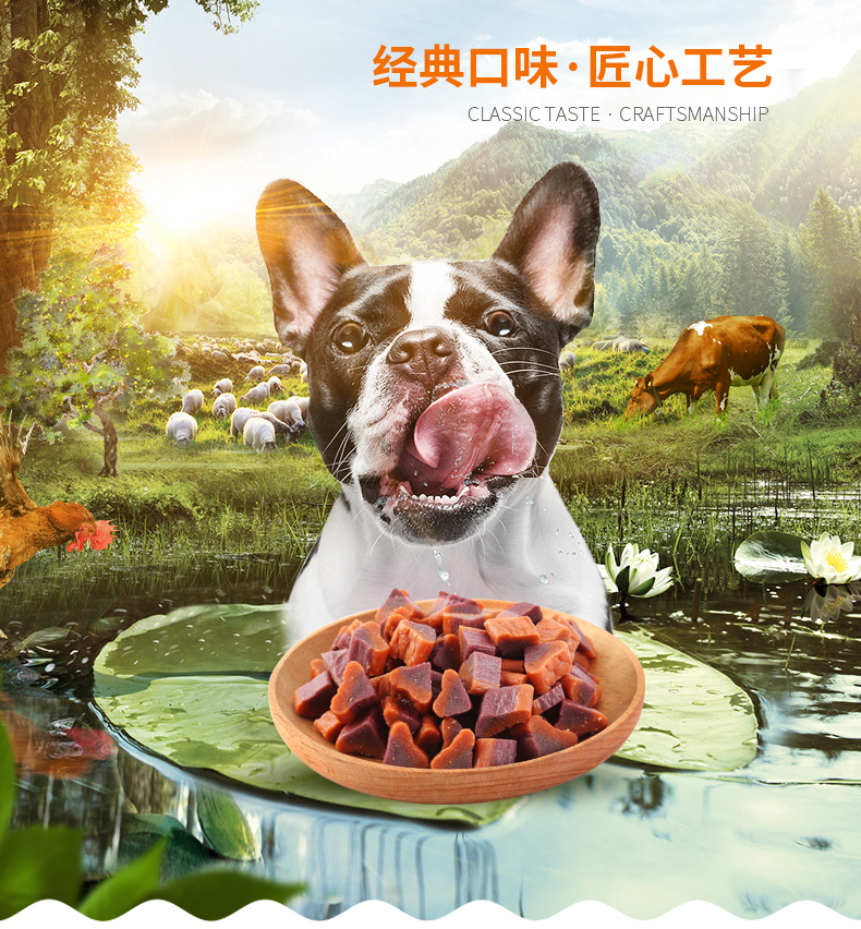 Crazy Puppy Dog ăn nhẹ Teddy Golden Retriever Gà lôi Gà Blueberry Cones 100g Phần thưởng huấn luyện thú cưng - Đồ ăn vặt cho chó đồ ăn cho chó