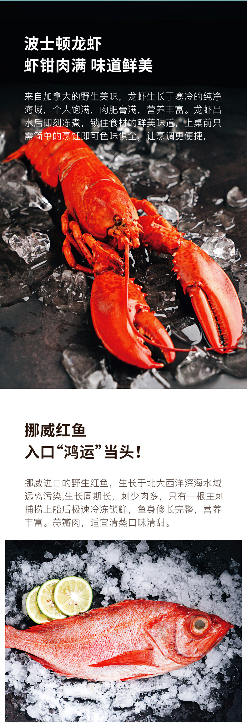 大希地 海鲜礼盒年货大礼包 含波士顿大龙虾 图3