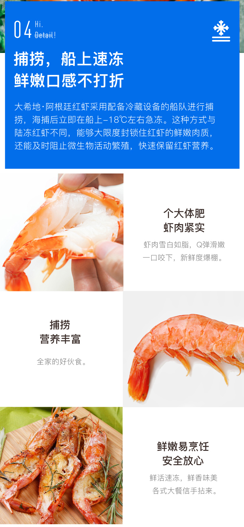 大希地 L2级 阿根廷红虾 净重4斤 16-18cm 图5