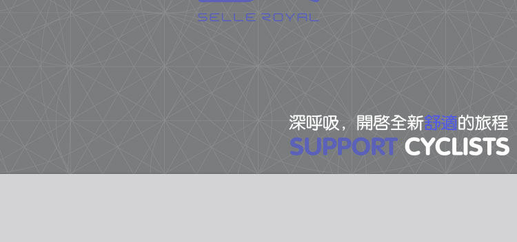 Selle de vélo Mountain Bike SELLE ROYAL - Ref 2350271 Image 6