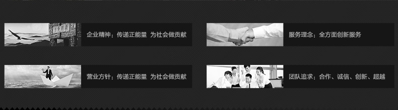 Porte-bagages pour vélo PHILLIPS - Ref 2413923 Image 31