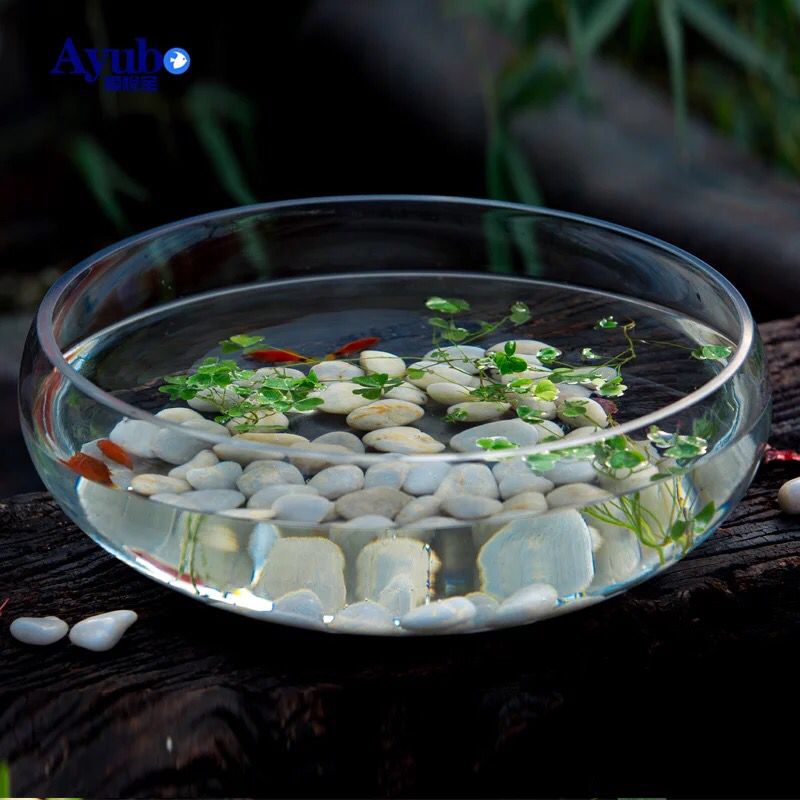 Xiaomi Zhou Glass Flower Pot Bowls Lotus Sleeping Lotus Bronze Money Grass Turtle Tank Fish Tank Vase Large Caliber Flower Pot