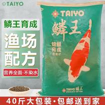 TAIYO squamous king carp feed for growing body brocade carp food add color fish grain germ color yangfish food