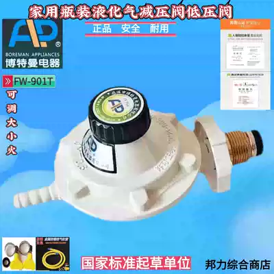 FLP Botman 901T Household liquefied gas appliances Water heater Pressure reducing valve Low pressure valve Pressure regulating valve valve