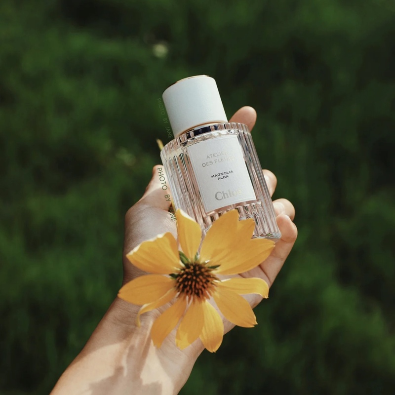 Chloe Is so Good at Creating Feminine Fragrances~ Wonderland Garden Edp Perfume 50ml Deep Forest Cedar/Northern Cedar Chloe Is so Good at Creating Feminine Fragrances~ Wonderland Garden Edp Perfume 50ml Deep Forest Cedar/Northern Cedar