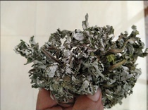 China Lianyungang purple flower bitter vegetable this year fresh dried medicinal purple flower bitter vegetable 250g