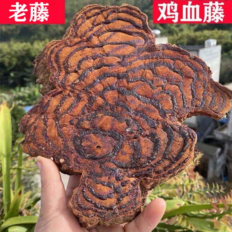 Authentic chicken blood vine old vine 500 grams Guangxi wild chicken blood Teng Chinese medicinal material chicken blood Tun raw materials