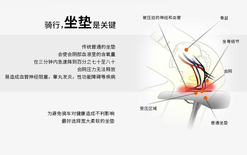 Selle de vélo Mountain Bike ZOLI - Ref 2351747 Image 10