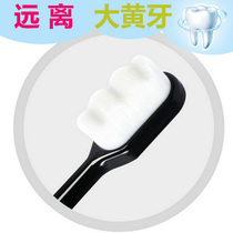 Ten thousand bristles toothbrush ultra-fine soft hair set adult confinement student family set toothbrush healthy teeth gum cleaning mouth