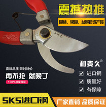 Japan SK5 steel pruning shears garden shears fruit tree scissors flower art scissors bonsai scissors bonsai scissors pedicure flower scissors household shears