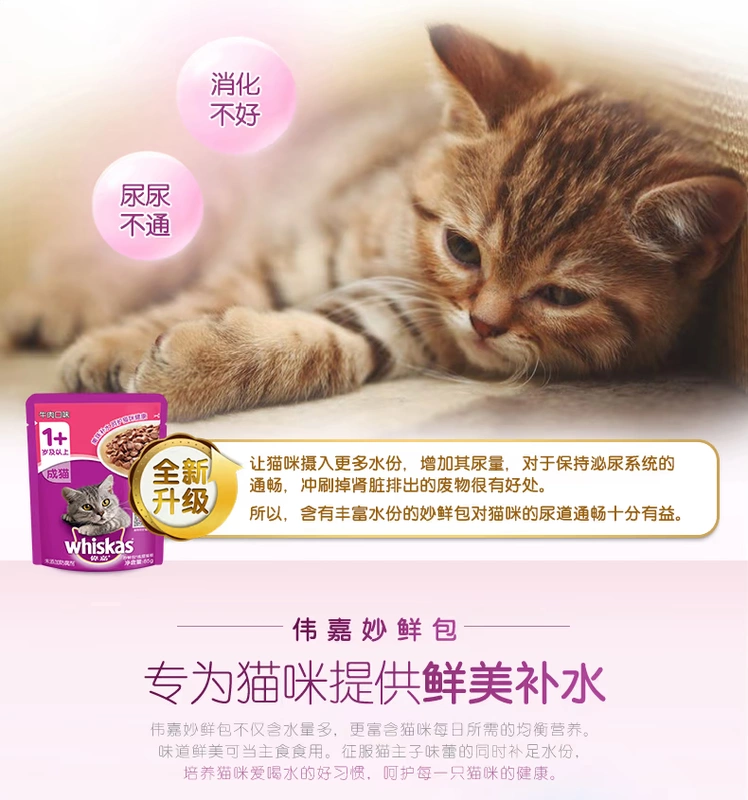 Đồ ăn nhẹ cho mèo Weijia Miao Fresh Pack 12 gói * 85g Đồ ăn cho mèo dành cho người lớn Đóng hộp Thức ăn ướt Cá biển vàng nhỏ Thịt bò nhiều hương vị Giữ ẩm - Đồ ăn nhẹ cho mèo