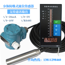 Explosion-proof shell input liquid level sensor light column meter 4~20mA output water level gauge probe transmitter
