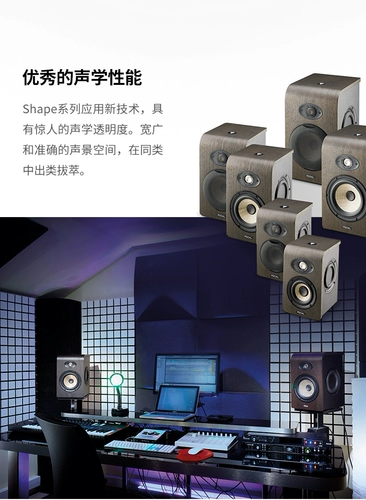 France Focal Shape40/50/65/Twin имеет источник предстоящего спикера наблюдения [Cool Play Audio]