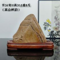 (Alpine Autumn Rhythm) Strange Stone Fujian Kowloon Bishi Boutique Zen Stone Desktop Office Entrance Ornament with Seat