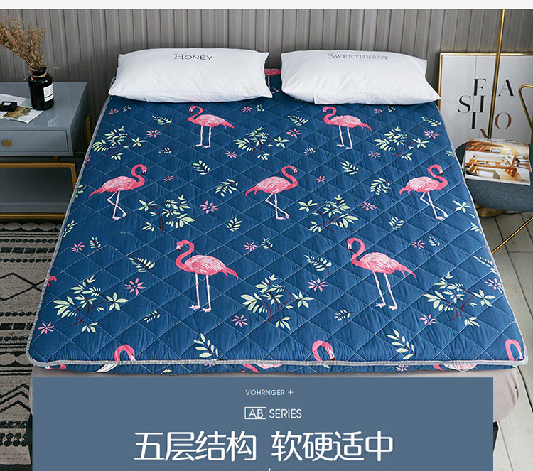 Nệm đệm giường bọ cạp 1,8 m 1,5m đơn đệm đôi sinh viên ký túc xá bọt biển - Nệm giá đệm everon