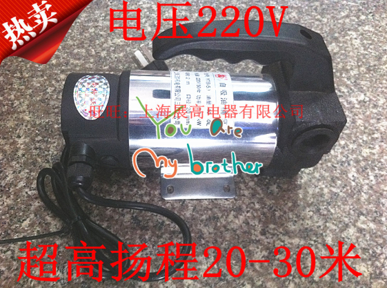 Shanghai Day Rhyme Electric Oil Pump Self-Suction Oil Pump Plus Liquid Pump Oil Pump 220V ultra high lift