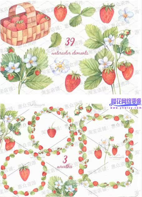 手绘水彩花卉插画PNG免抠素材-樱花网络资源网 手绘水彩花卉插画PNG免抠素材