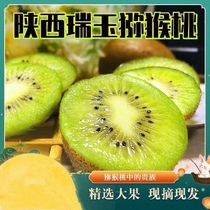 (Authentique) Shaanxi Ruiyu Kiwi Pur Doux Frais Saisonnier Coeur Vert Kiwi Fruit Incroyablement Doux pour les femmes enceintes