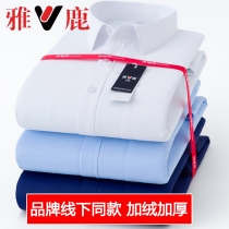  Yalu mens velvet thickened shirt long-sleeved white professional tooling business formal non-perm anti-wrinkle warm shirt