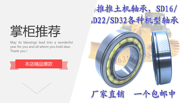 Mountain Push Bearing Bulldozer Bearings 170-09-13250 170-09-13250 175-15 -43270 -43270 175-13-21140