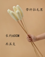 5 труб с удочками