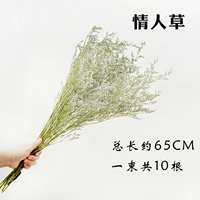 Трава любовника (около 10) (около 10)