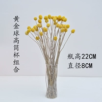 Комбинация высокой чашки Golden Globe