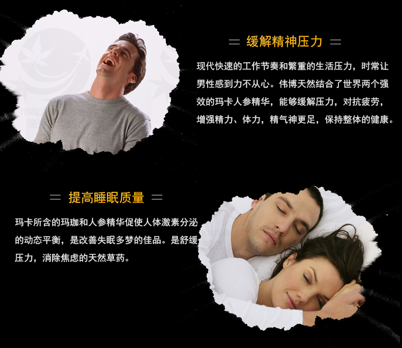 Canada Webber Chuyên sâu Maca Capsule Sản phẩm chăm sóc sức khỏe nam giới Tăng cường năng lượng để giảm mệt mỏi 200 viên nang - Thức ăn bổ sung dinh dưỡng thực phẩm chức năng