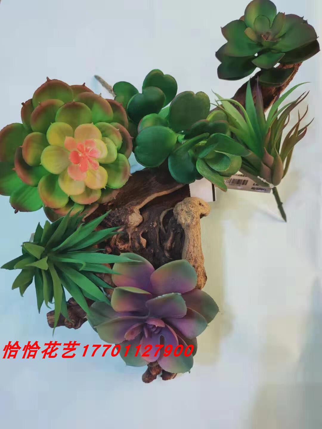 Chacha flower art Dongli flower material rose succulent multi-layer Baolian pointed gladiolus succulent simulation succulent