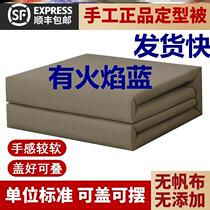 Shipping fast high standard housekeeping is shaped mold-shaped easy to mold solid real get washable hand feel soft flame blue not fake