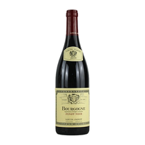 Louis family Pinot Noir dry red 2019 Louis Jadot Bourgogne Pinot Noir