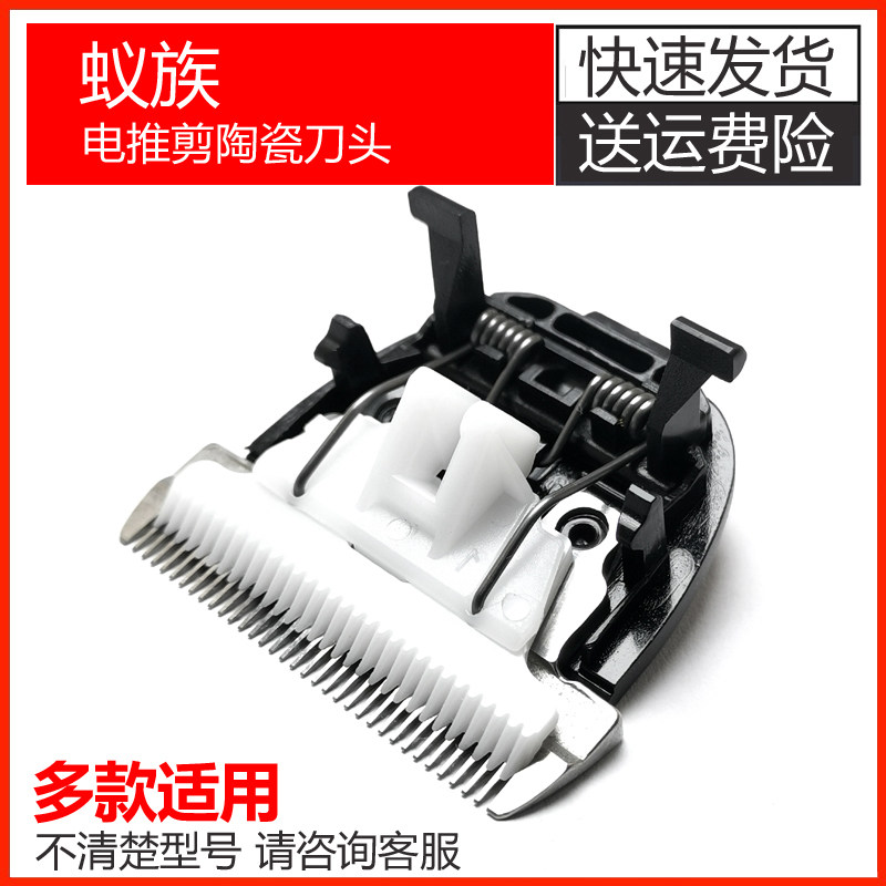 Applicable Ant Pet Puppet Electric Push DDG-S01 DDG-S01 S02 S03 Pet special ceramic tool head accessory