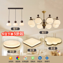 French Mid-Century Style Full-Spectrum Eye-Protecting Chandelier Living Room Lamp Hall Main Light South Asian Style Simple Retro Zhongshan Lighting Fixtures