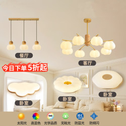 2026 New Living Room Chandelier, Modern, Simple and Elegant, Japanese-Style Natural Wood Cream Style Main Lighting Fixture, Whole House Package Set