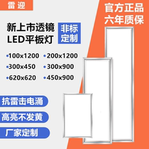 Integrated ceiling LED light 300x450x800 flat panel light non-standard custom 100x200x1200 embedded chandelier
