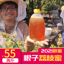  Rong Jie chose to eat@Gaozhou Genzi Town pure lychee honey without adding natural farm milk tea shop Chunyuan honey 2 kg