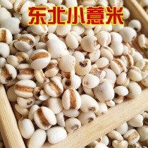 Small Pearl Barley Farmhouse New Stock Self-Produced Pearl Barley kernel pearl barley rice 1 catty 500g full RMB27