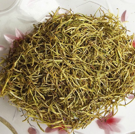 Honeysuckle tea full dried honeysuckle
