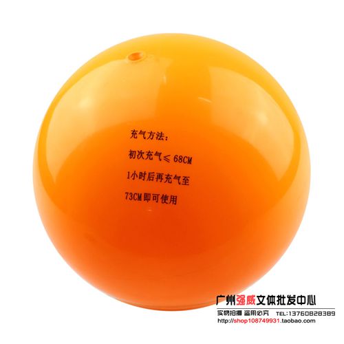 Ballon de volley-ball - Ref 2012013 Image 4