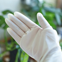 Gloves examination gloves