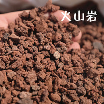 Red volcanic rock Black volcanic rock Volcanic stone fleshy paving particles with soil particles Green plant potted particles soil stone