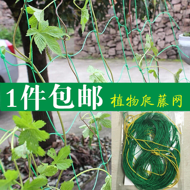 (27 strands) climbing rattan net planting net home outdoor garden loofah passion fruit plant climbing frame gardening net