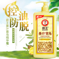 Overlord ginger sauce Shouwu shampoo anti-itching oil increase hair prevention ginger shampoo