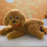 Черная реалистичная плюшевая игрушка, тряпичная кукла, домашний питомец